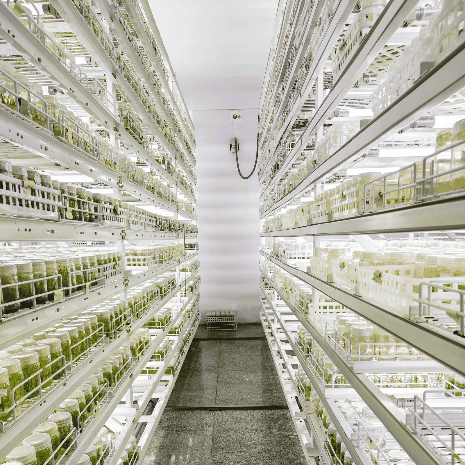 Laboratory facility